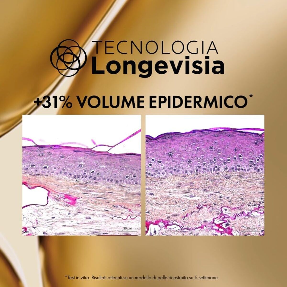 V2H19C3C78A2617D13FA48FA7E485DA77A0R7653272P10