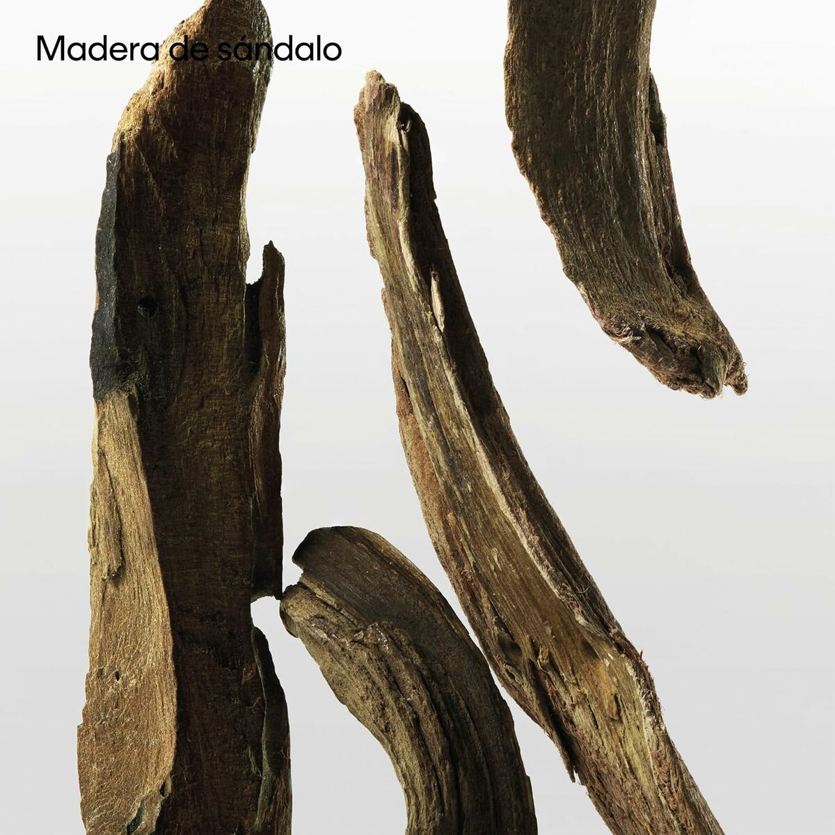 V4H326299D38D33FC3D983EDE57975D8C0ER7125026P10