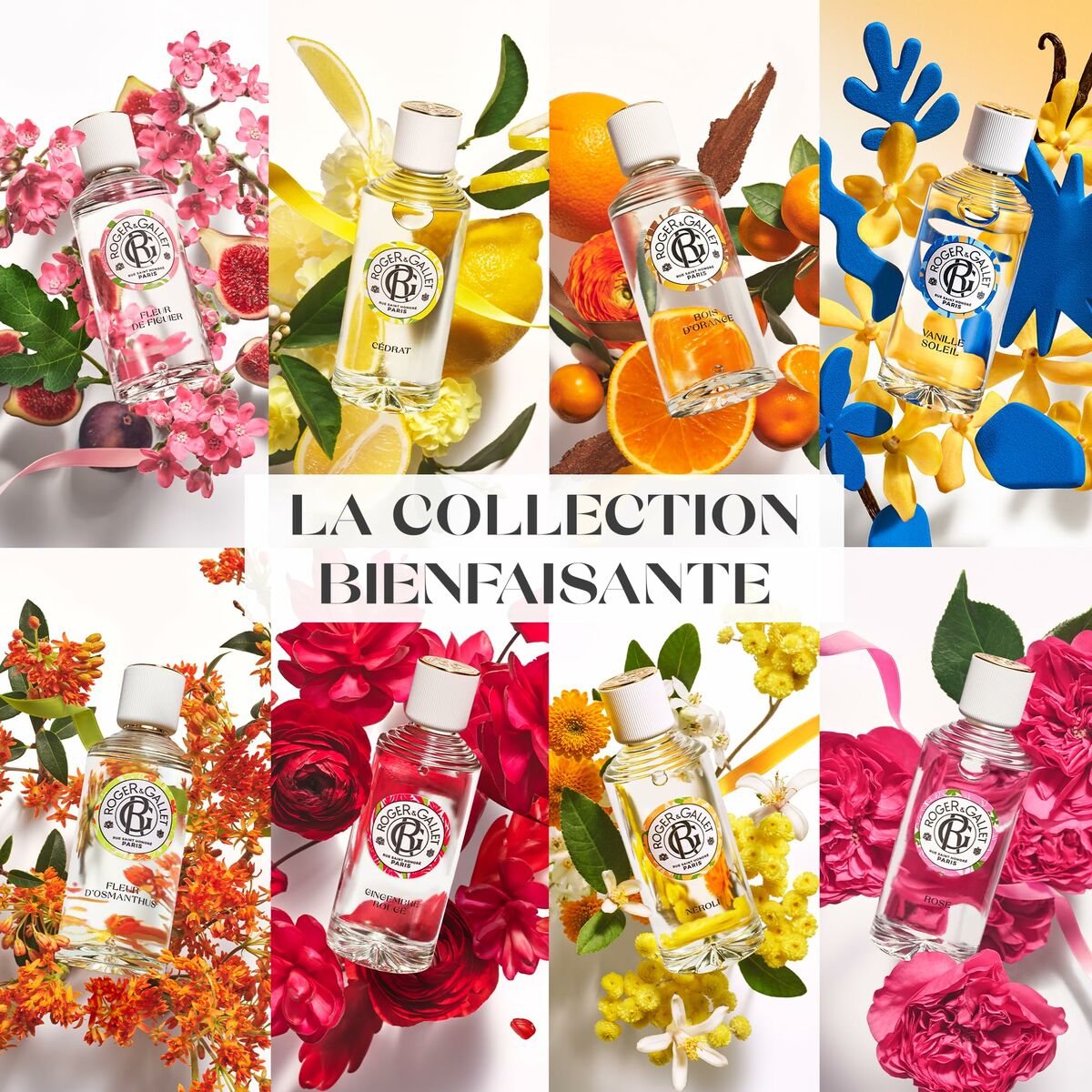 V8HC6A1621592FDC9913CB1DFE1B6DC5452R6580972P6