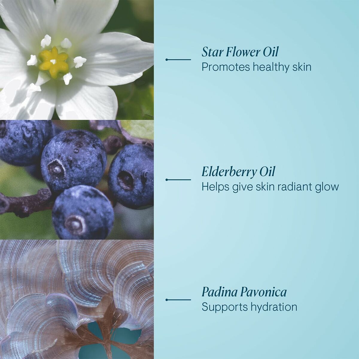 V5H56FFAFF729A080EF3C671D3D912FAE81R7072815P3