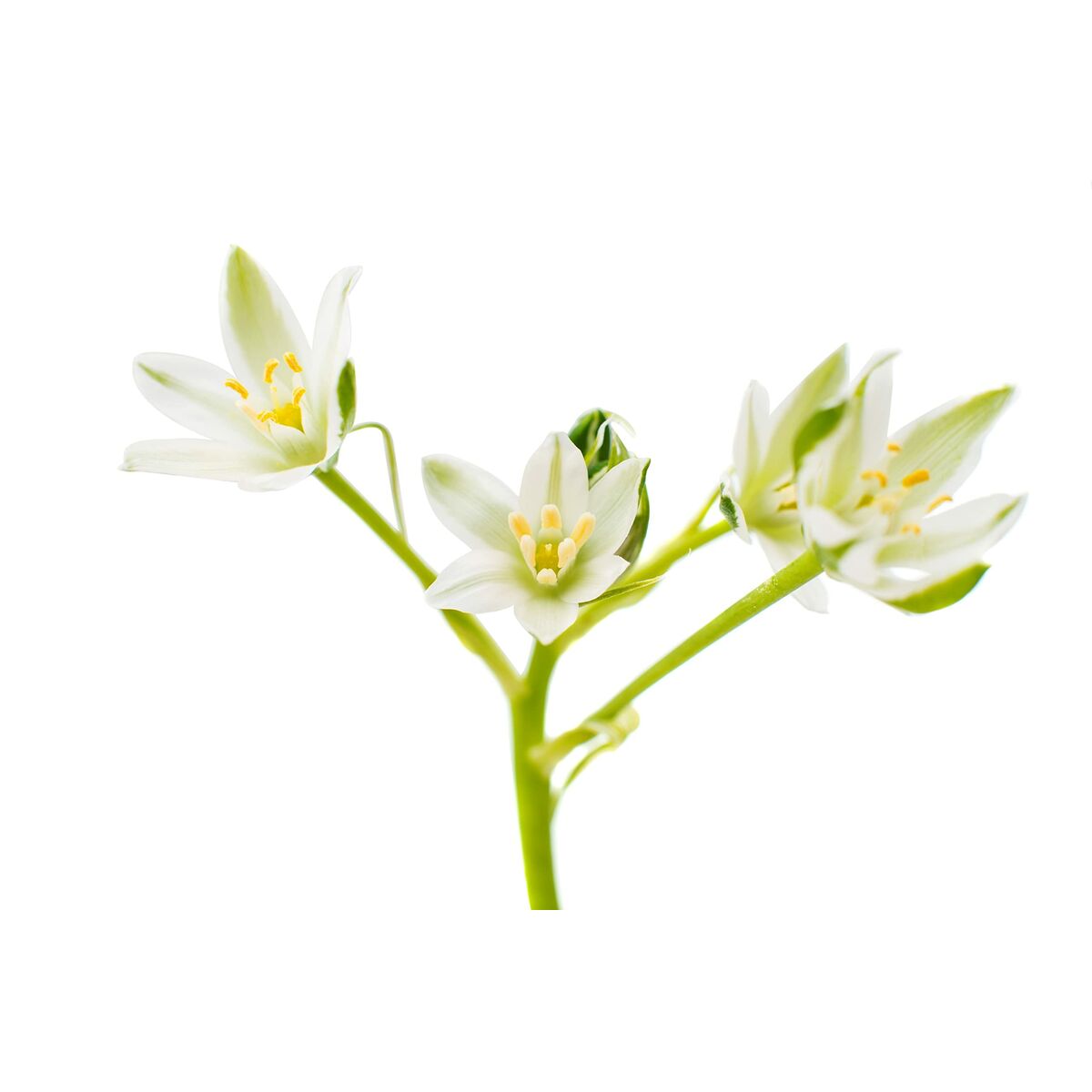 V2H86DF3DF0F584A9044CC9DA7827FF260AR7821141P9