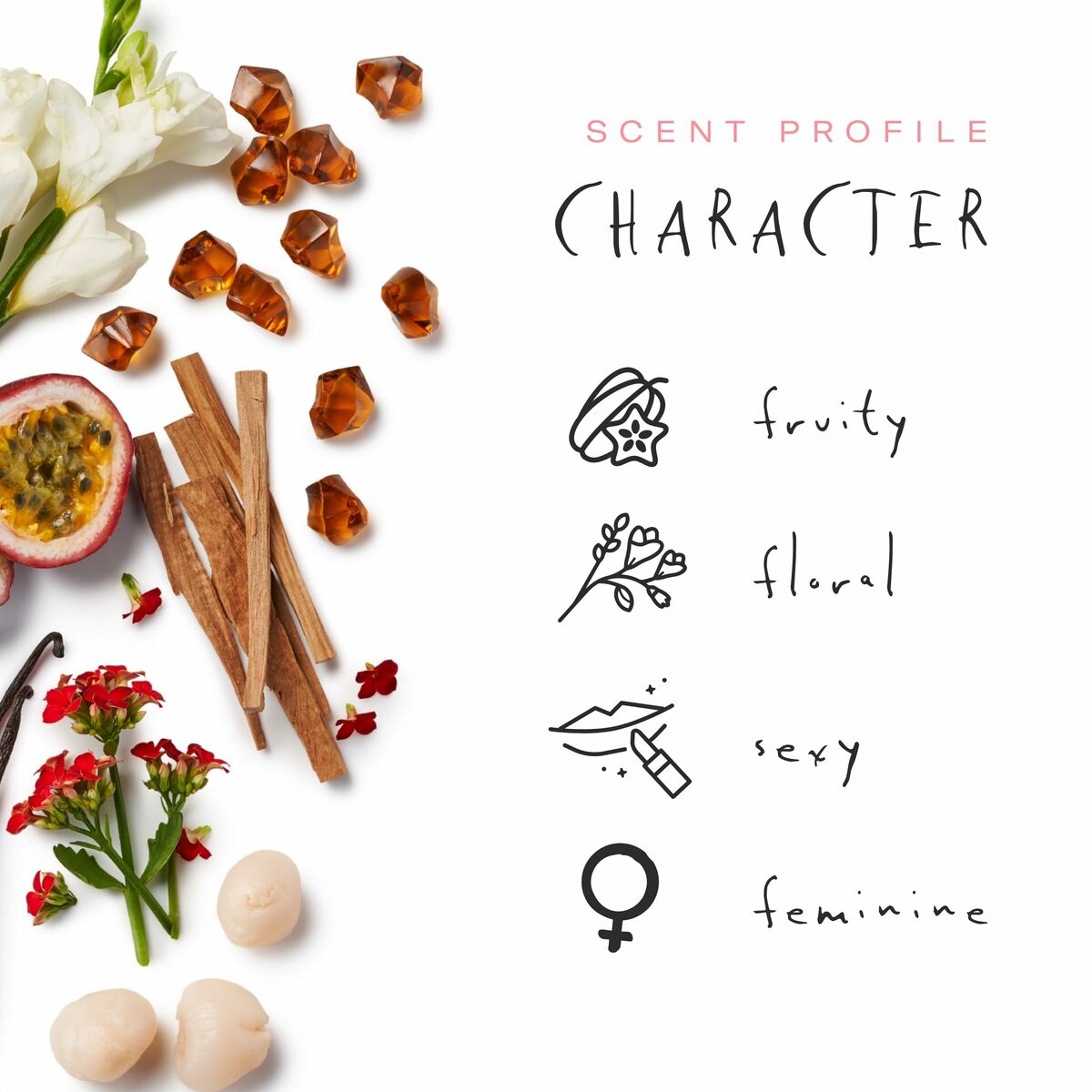 V6HD035327EE26376169AF4526E203AF0D8R4431780P5