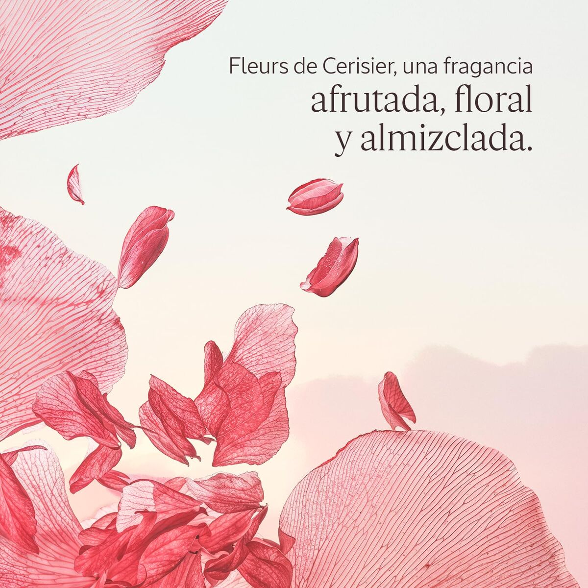 V3H92083A6DDCFFFFA70CDF5C84C2A3EBB9R7592838P3