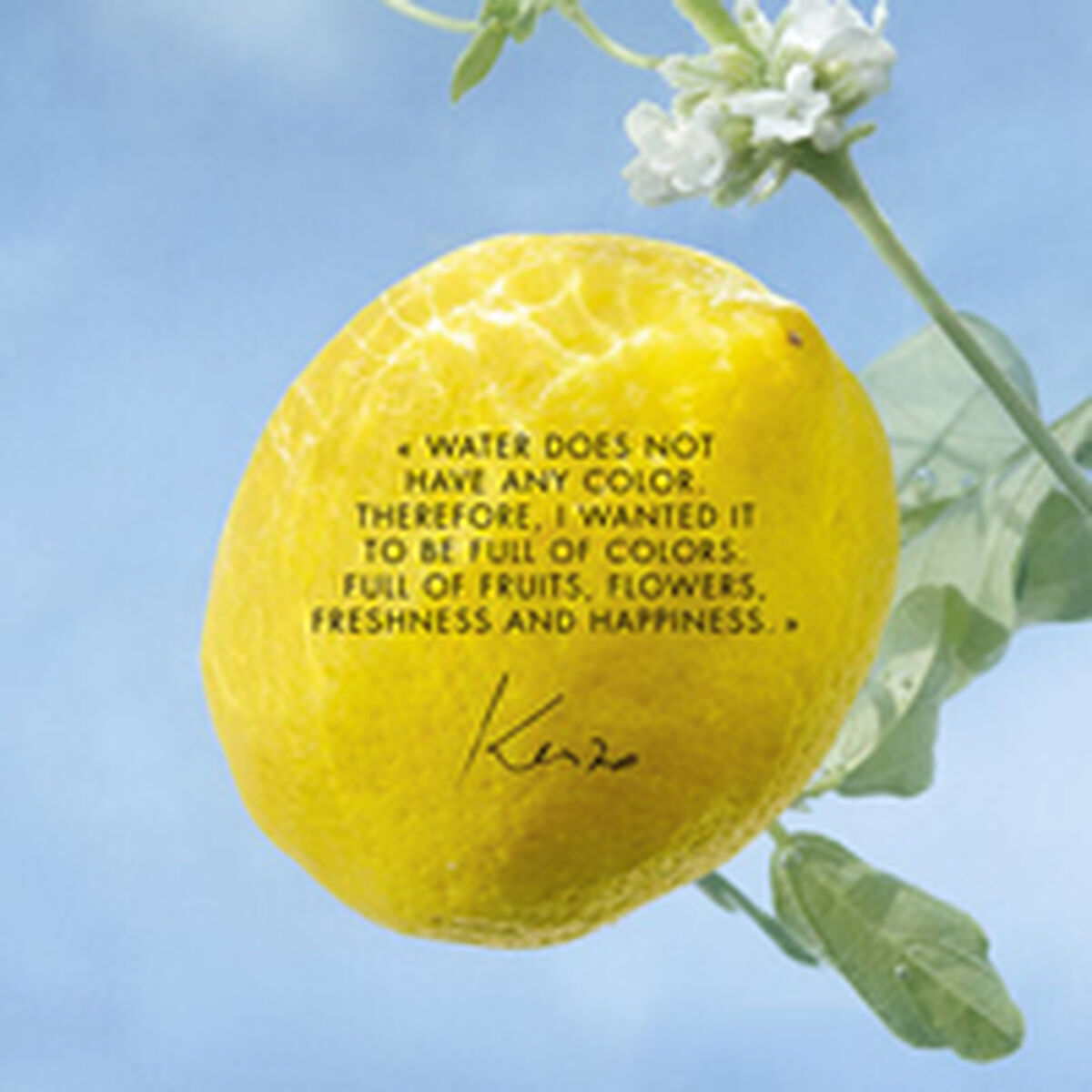 V3HAED640B69D77025D9A2C4FAB4767248DR6241656P3