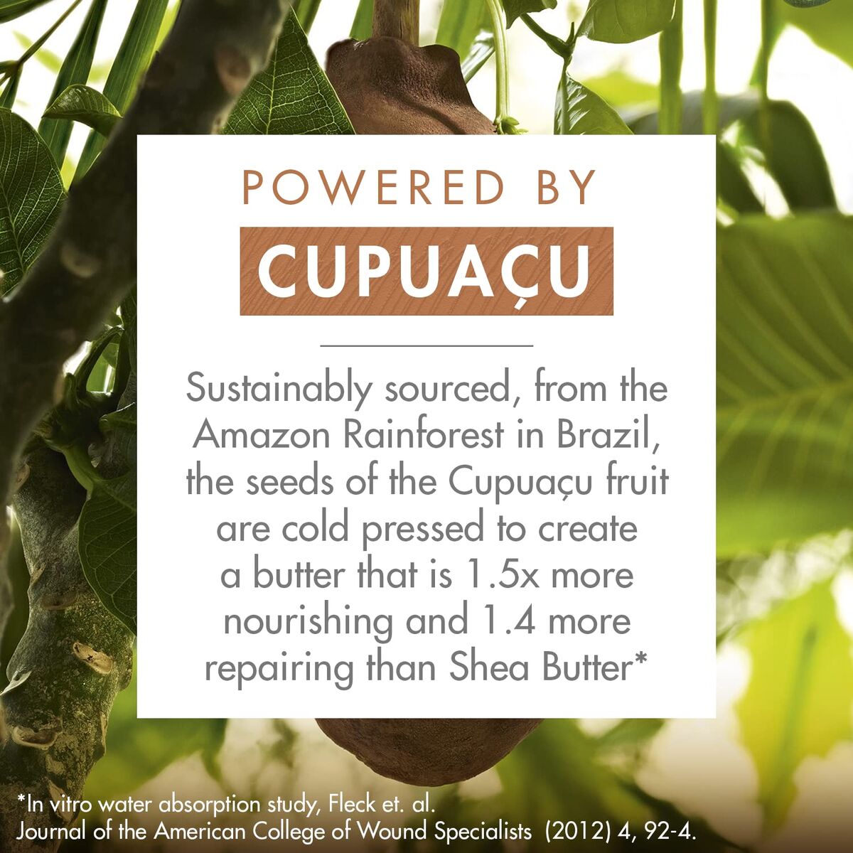 V3H13C928EBC11AE724B686632D11E8BC0CR7519766P3