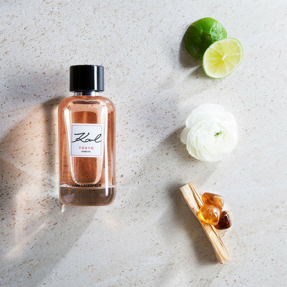 V2HA4997FC4E88AD77D0BCC08F97805C9D8R6965331P5