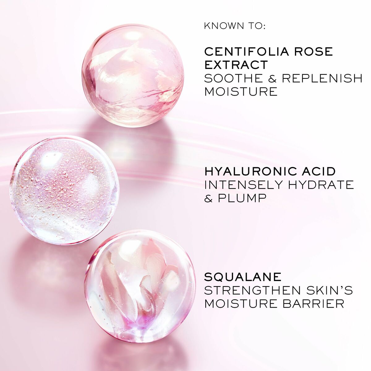 V5H6B6A3F5DCCAF95FB71B102F52249A8F2R6240363P4