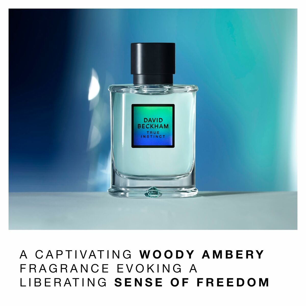 V2H3D0F5D98958DDD152252737B0B157886R7175293P5