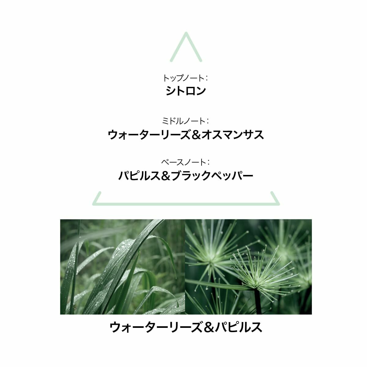 V2H75A089F122357ED96FBBD32DEAEA6905R6996324P3