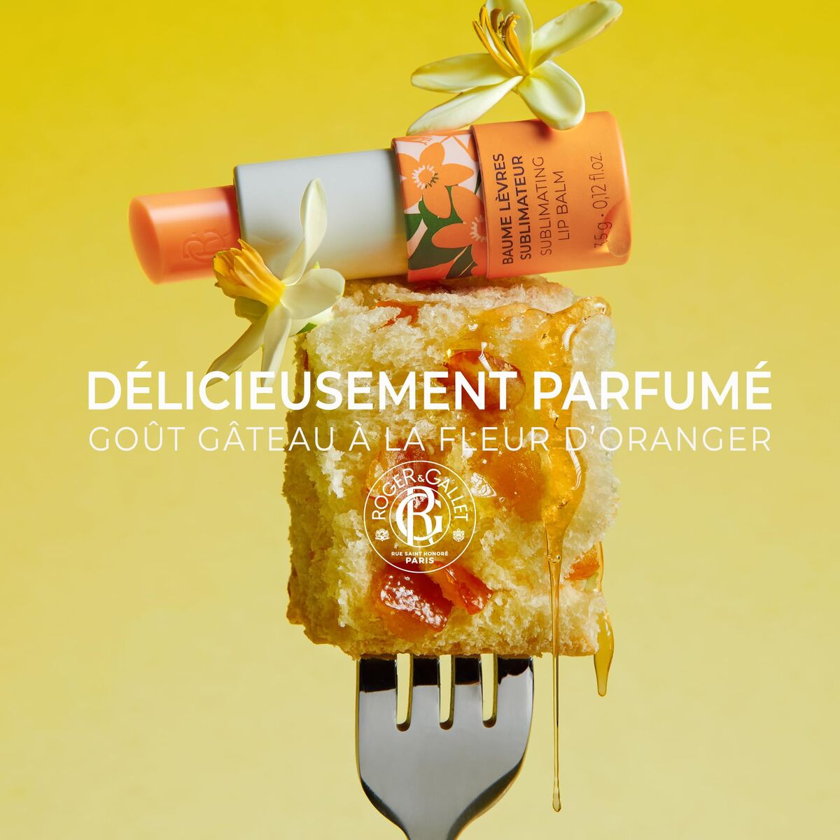 V2H01B099EE18ECD7043FDEB273880C1DA1R7356361P2