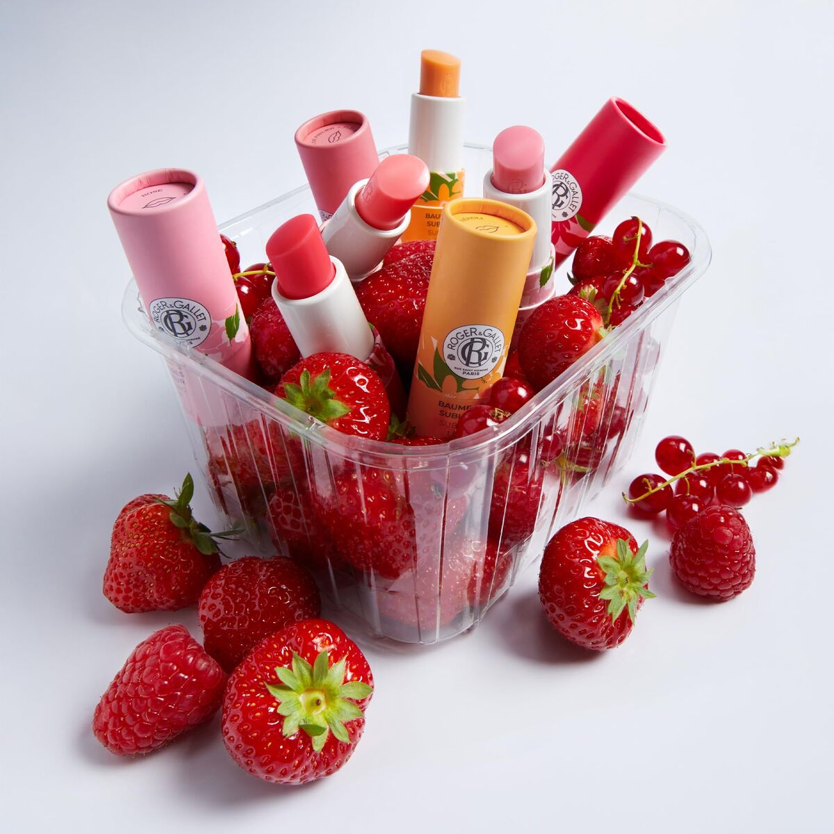 V2H32B8A0179C8FFA56FF3F49990D97B7B7R7356066P5