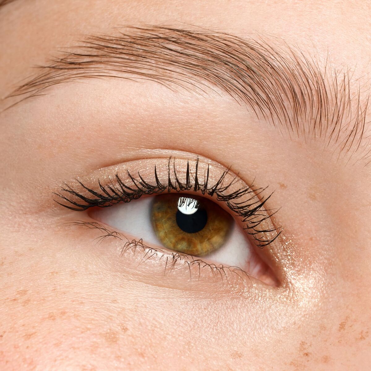 V4H934847E5B694C6223A4309AC319EA20AR7477372P9