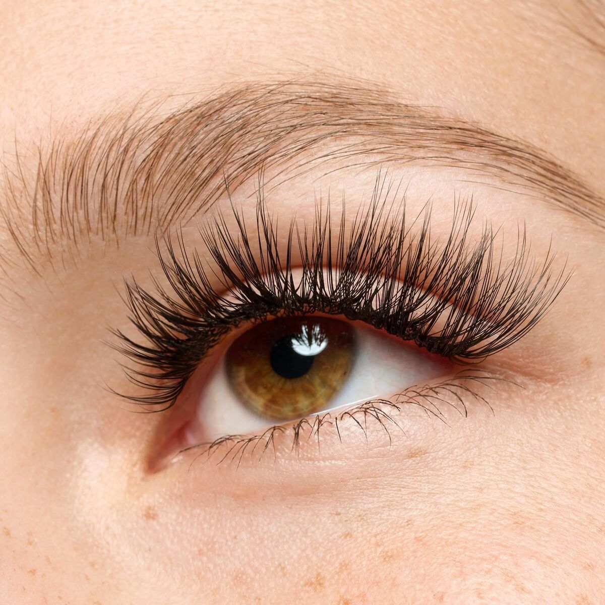 V4HC6E456C49ED282FAE8733CE24ECBA9E5R7435095P6