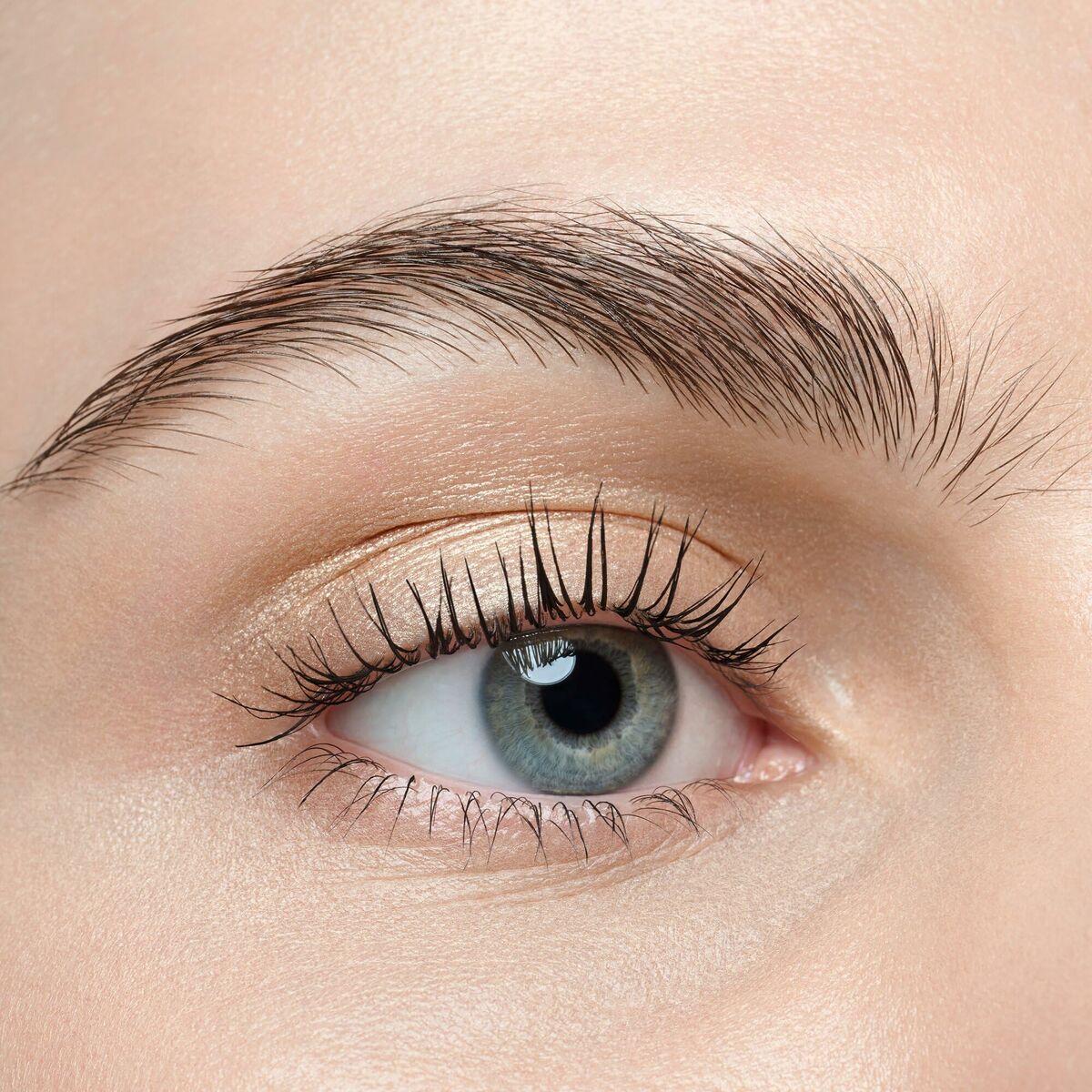 V4H5A3DD9A2E29B61AB24651A74BBF9F551R7493982P8