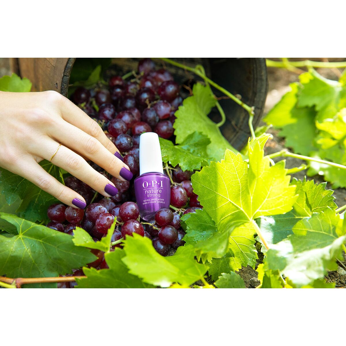 V2H169295B4D9E825DE45FF5BD566999704R7238845P5