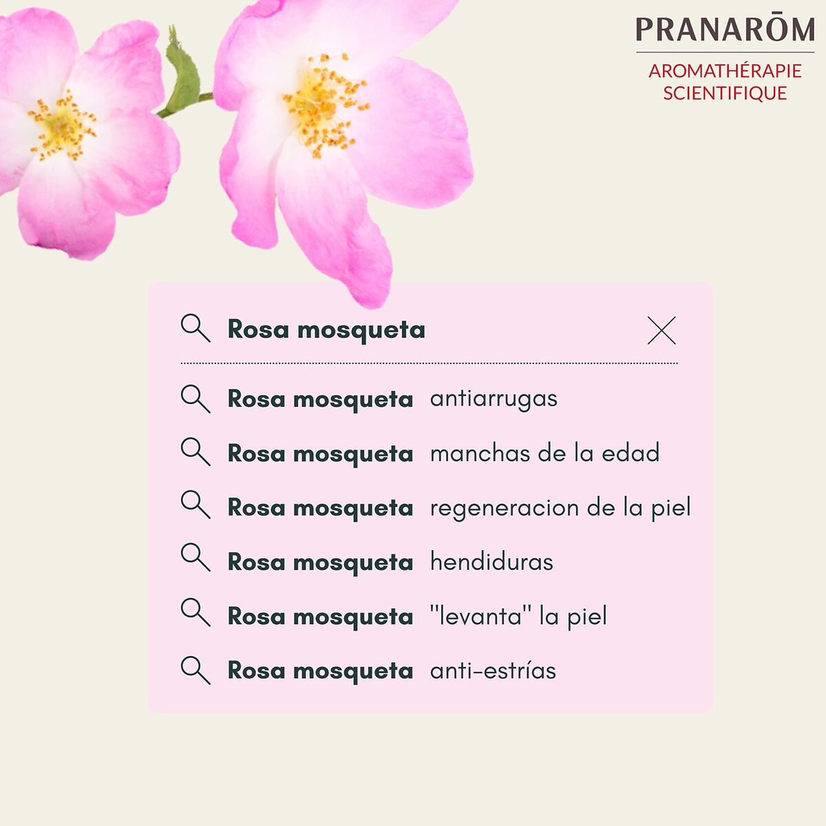 V7H3DE527E1D7BB649841ACCF001054B4BDR7731006P2