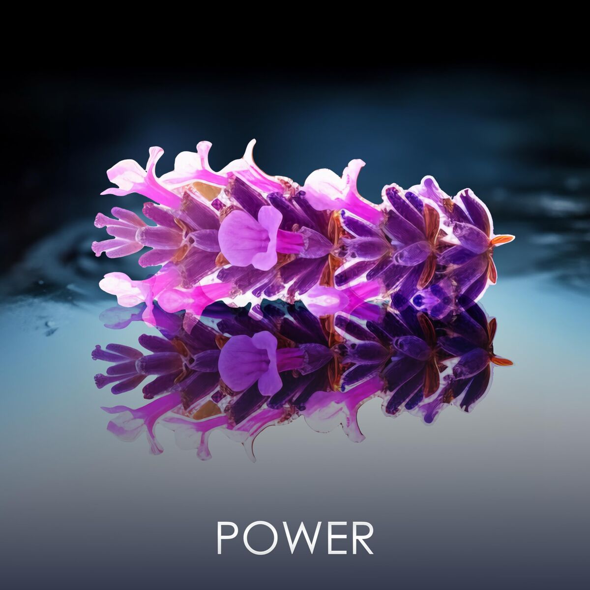 V2H107DBD47EE724D32AD0EA1E2D069B618R7404082P7