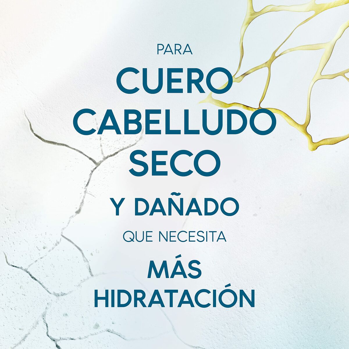 V6HFDC8C79B425FD5AFE8A644D4F24484B3R3652895P4