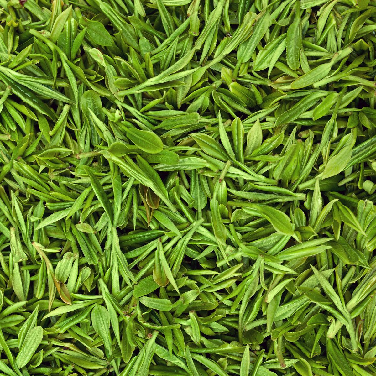 V2HBCCF08A7B6C51CE662EB118101429E1CR7420697P5