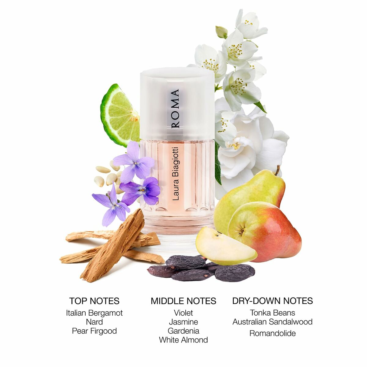 V3HECE6A090244C5EFD8F89BF170EFAC5E4R5579797P2