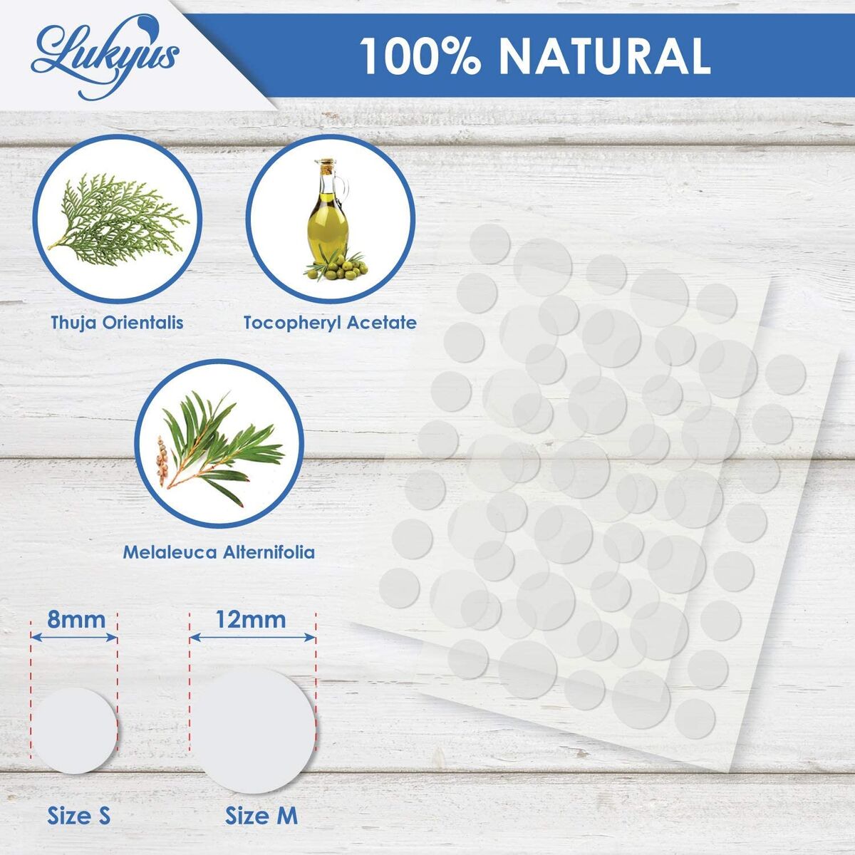 V2H52DFB4161D96FCED61B5548D481900DAR7476953P8