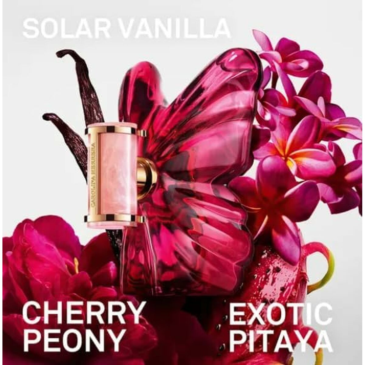 V2H504242E84BEEEA4B2D1C708E92841A94R7487133P3