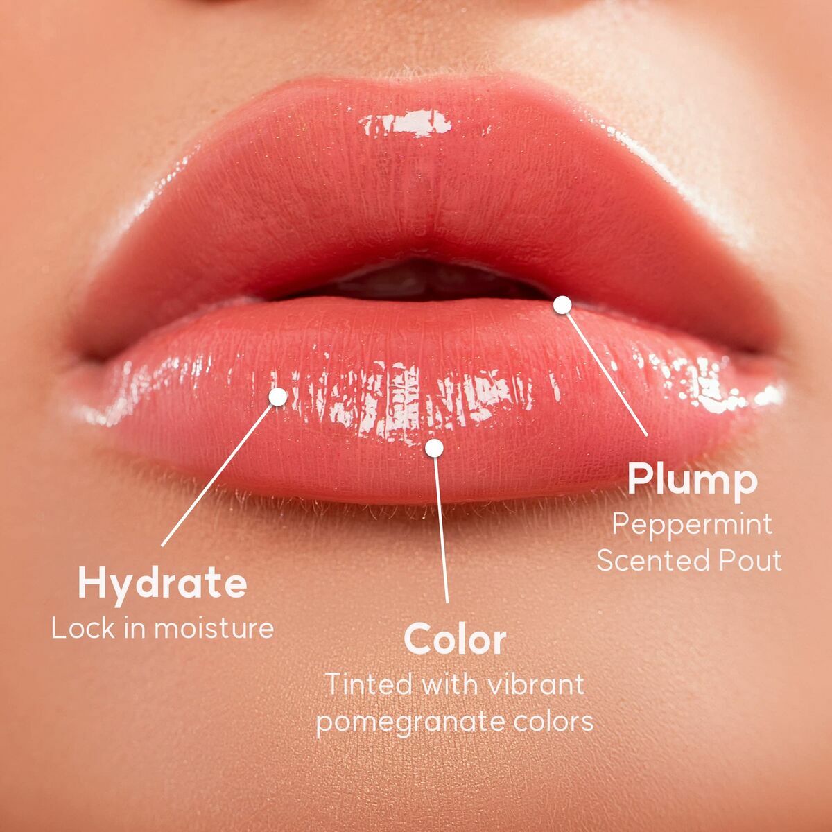 V5H835F0D3BF8BE0D97F4ED6177069E148BR5468765P6