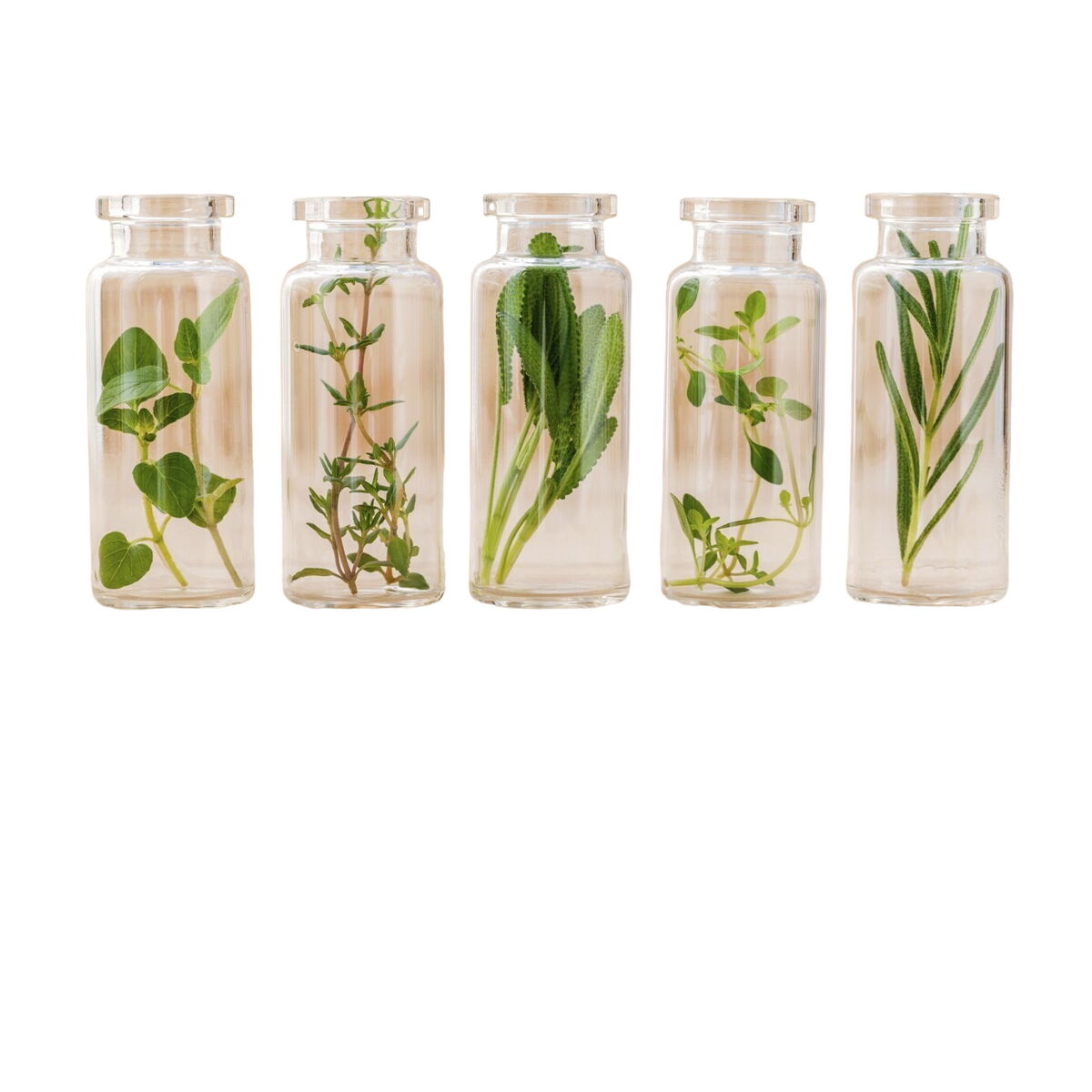 V3H959C017BC24C206B2A83EC9B02FD16F8R4656900P3